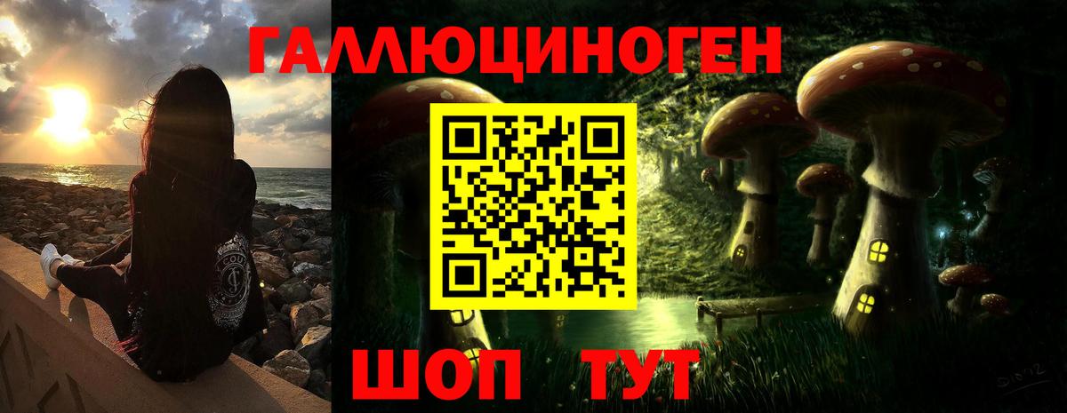 Слободской  Галлюциногенные грибы GOLDEN TEACHER  Вход с VPN 