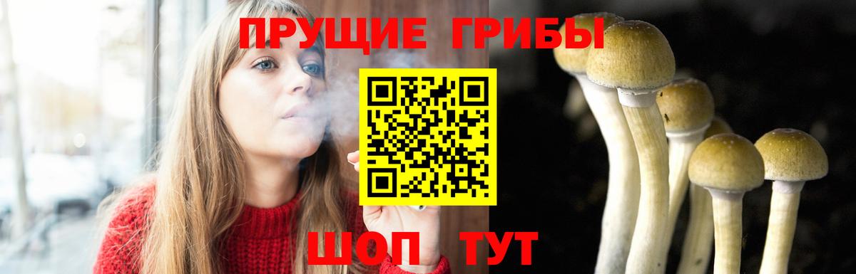 Псилоцибиновые грибы Magic Shrooms Слободской