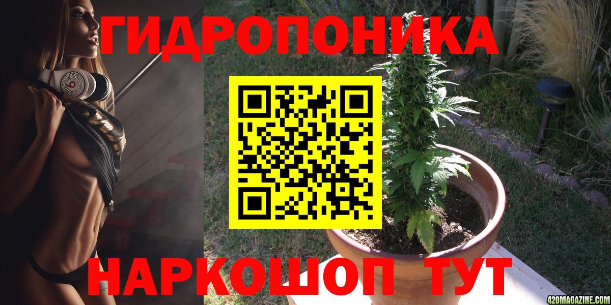 Бошки Шишки сатива Слободской