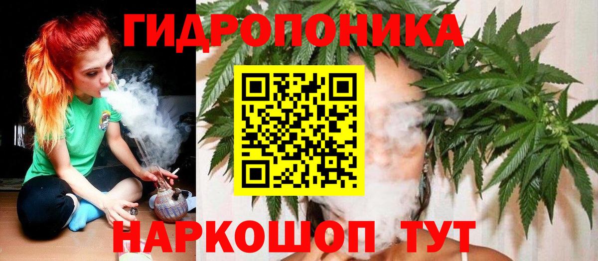 Канабис планчик  Вход с VPN  Слободской  Канабис сатива  Бошки марихуана тримм  Конопля White Widow 
